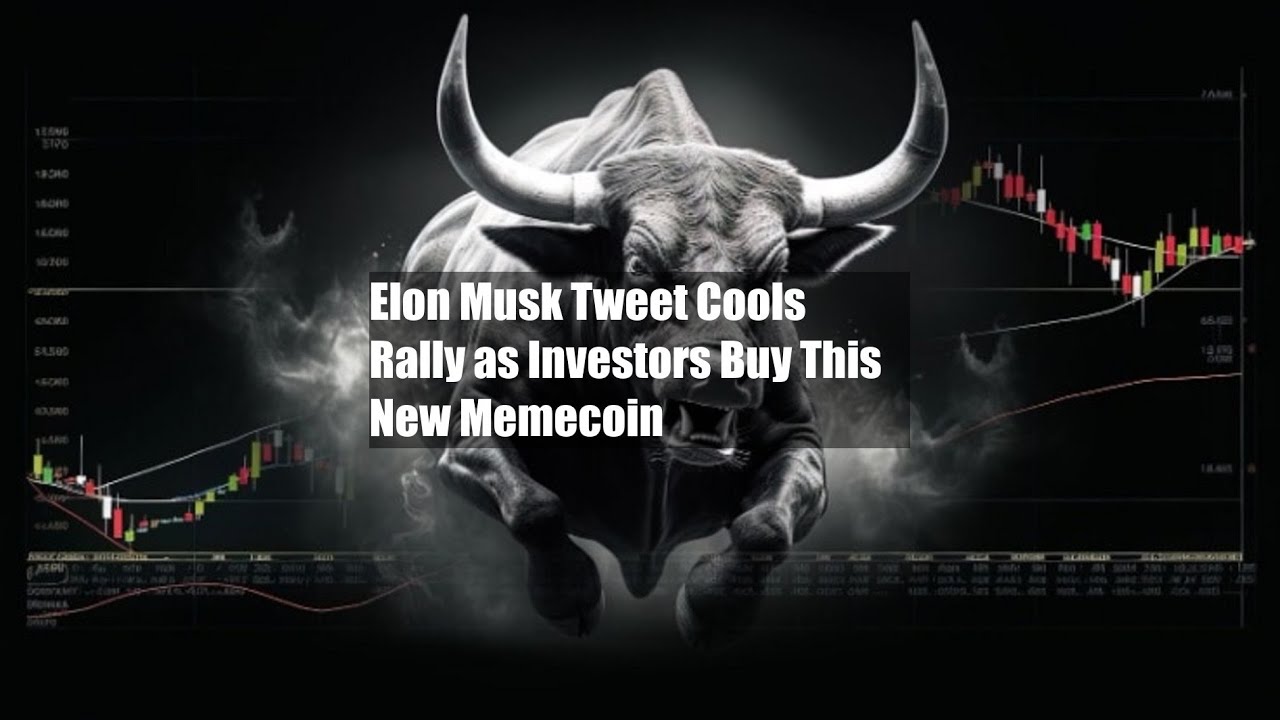 Elon Musk Tweet refroidit le rallye $DOGE alors que les investisseurs achètent ce nouveau Memecoin