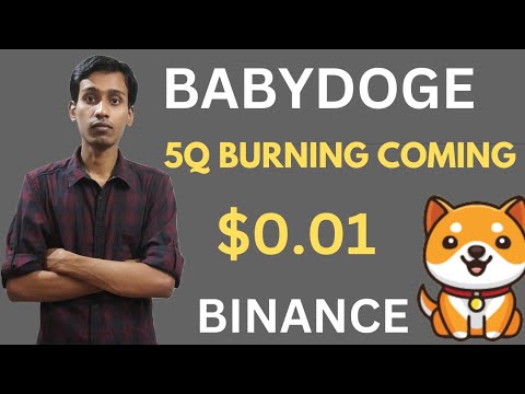 오늘의 Baby Dogecoin 뉴스 | 다가오는 5분기 소각 | BabyDoge 코인 가격 $0.01 | 바이낸스 상장