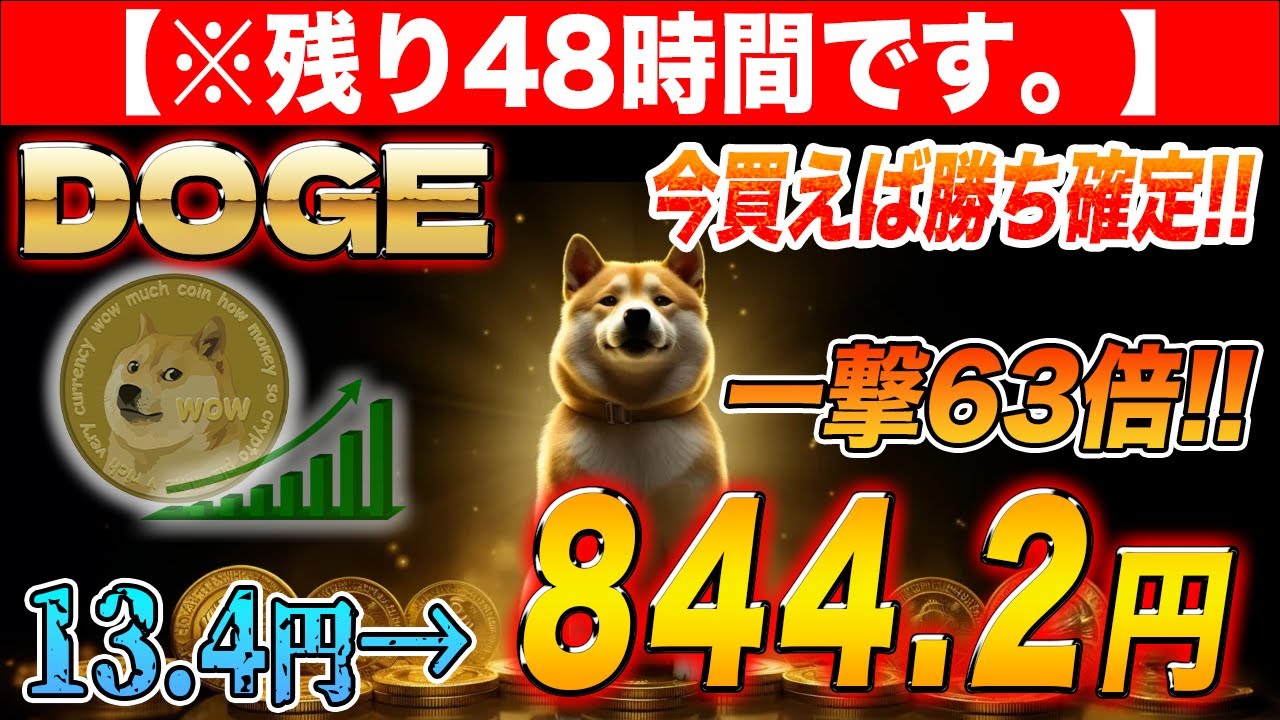 DOGE가 1월까지 치솟을 확률은 99.9%!! 이유로부터 구입 후의 서둘러까지 해설합니다. 【DOGE】【도지】【AVAX】【CAW】【시바 코인】【이론 마스크】