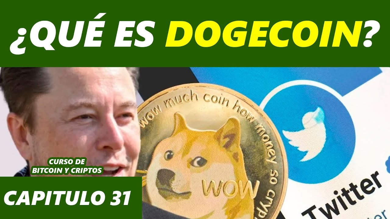 ドージコインとは何ですか?イーロン・マスク氏のお気に入りの仮想通貨、The Shiba Inu Cap Dog Memecoin。 31