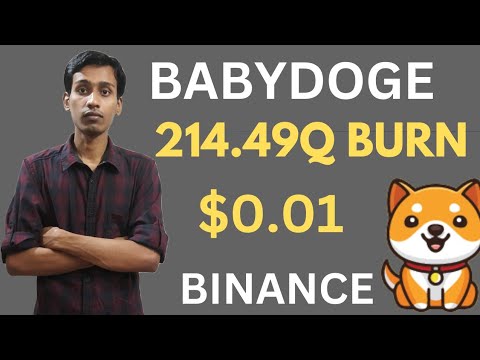 寶貝狗狗幣今日新聞 | 214.49Q 燒錄 | BabyDoge 幣價格 0.01 美元 |幣安上線