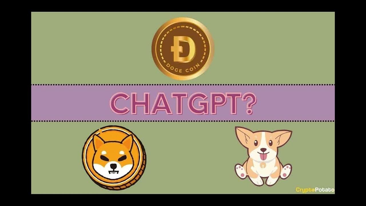 我们问 ChatGPT 哪一个将是 2024 年最大的 Meme 币？ BONK、SHIB、DOGE 还是其他？