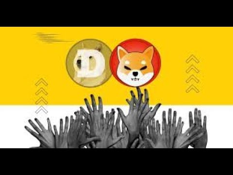 最后 8 天！? 很快就会达到 1 美元； XRP、SHIBA、DOGE 和 HBAR 引起关注！?现在必须购买！！?