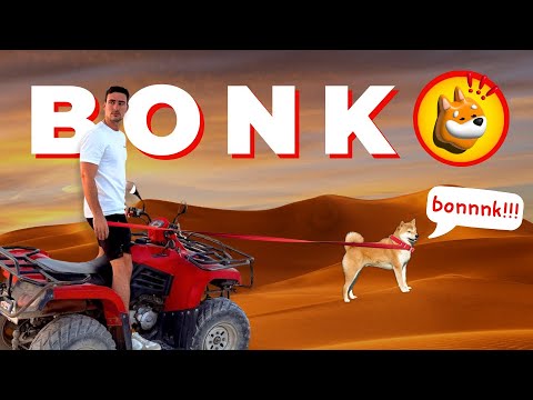 Solana 的 $BONK 是下一個狗狗幣嗎？