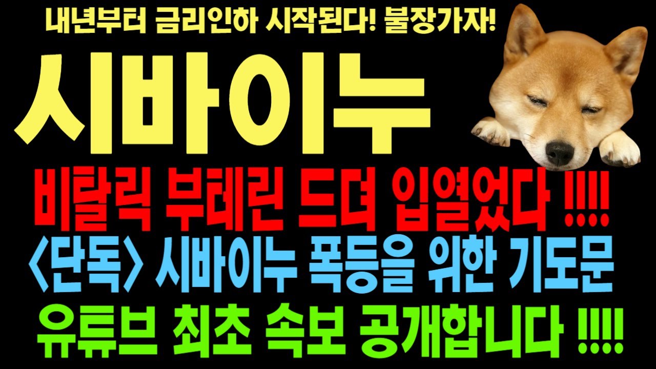 시바이누 시바이누코인 시바이누코인전망 SHIB #DOGE #일론머스크 코인전망  비트코인 이더리움 도지코인 #비탈릭부테린