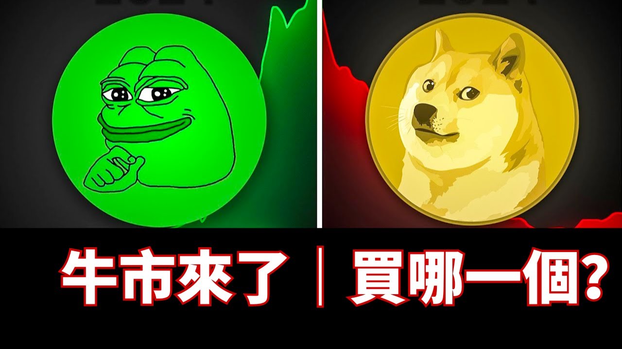 从1万到100万：pepe和doge为何有100X的希望？国中生超爱买meme币的原因。 2024牛市该买哪一只币？ #pepe #doge #meme