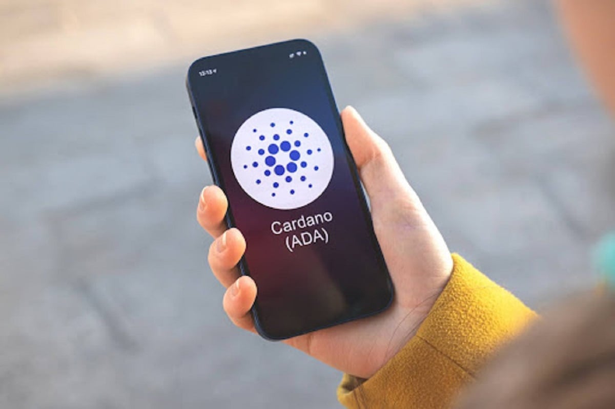 Cardano Reigns Supreme: Study Declares It the Top Crypto Brand