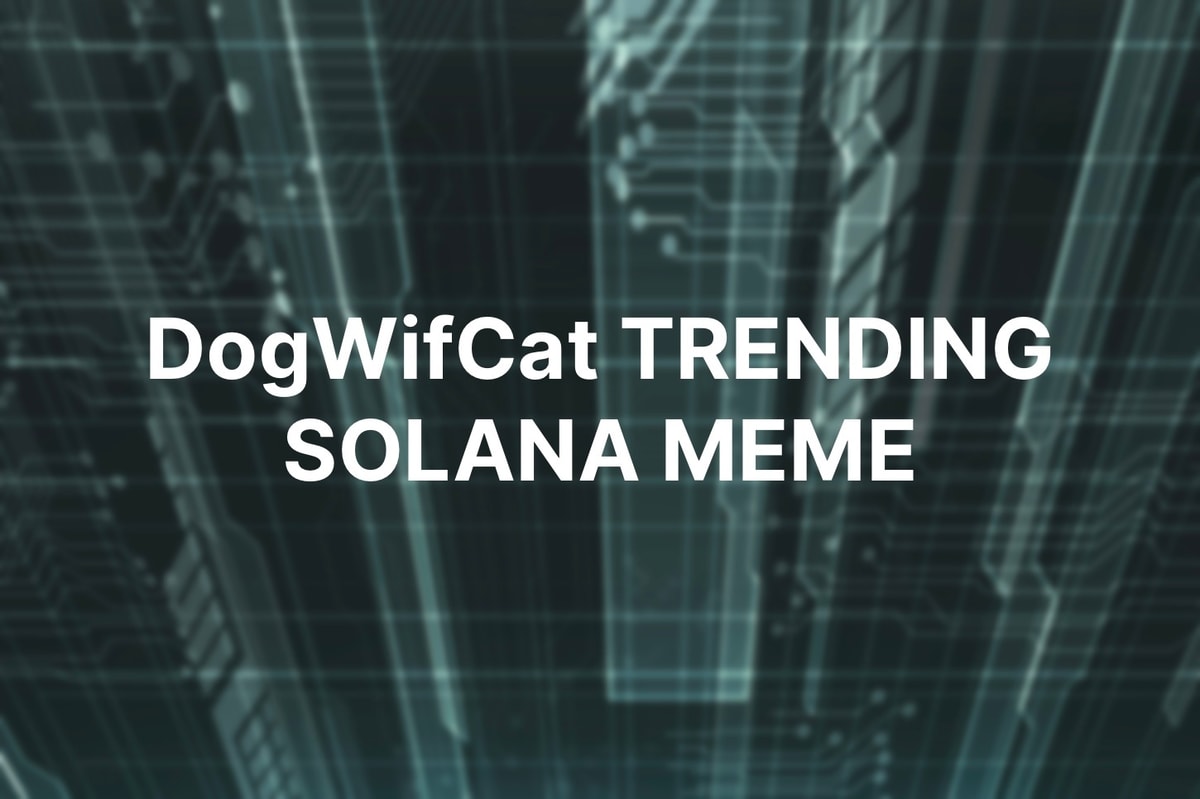 Solana 的 Meme 幣熱潮捲土重來：DogWifCat 暴漲 6,400%