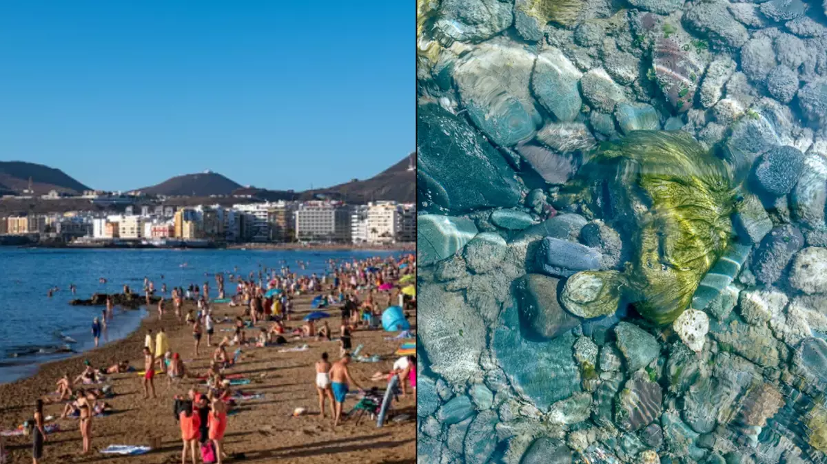 Canary Islands: Souvenir-Collecting Nightmare for Tourists