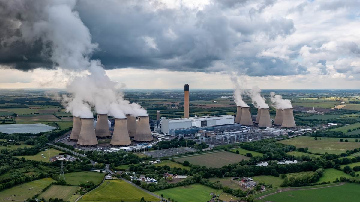 Le rapport Drax sur la Journée internationale des forêts déclenche un examen des préoccupations liées à la biomasse ligneuse