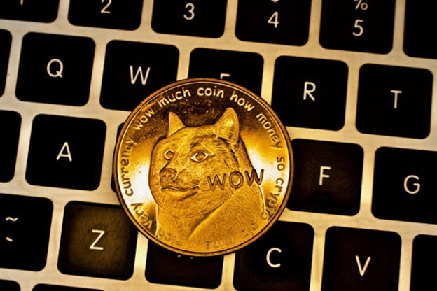 NuggetRush: The Meme Coin That's Got Dogecoin and Avalanche Investors Buzzing