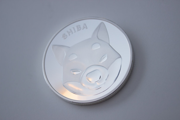 Shiba Inu Coin erlebt eine Achterbahnfahrt: gemischte Signale und eine Widerstandsgrenze