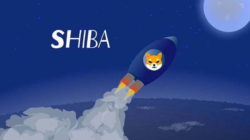 Le Shiba Inu est-il une valeur refuge dans un contexte de volatilité du marché des cryptomonnaies ?