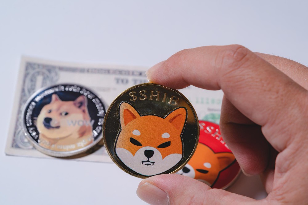 Shiba Inu Soars: Bullish Momentum Drives Recent Surge