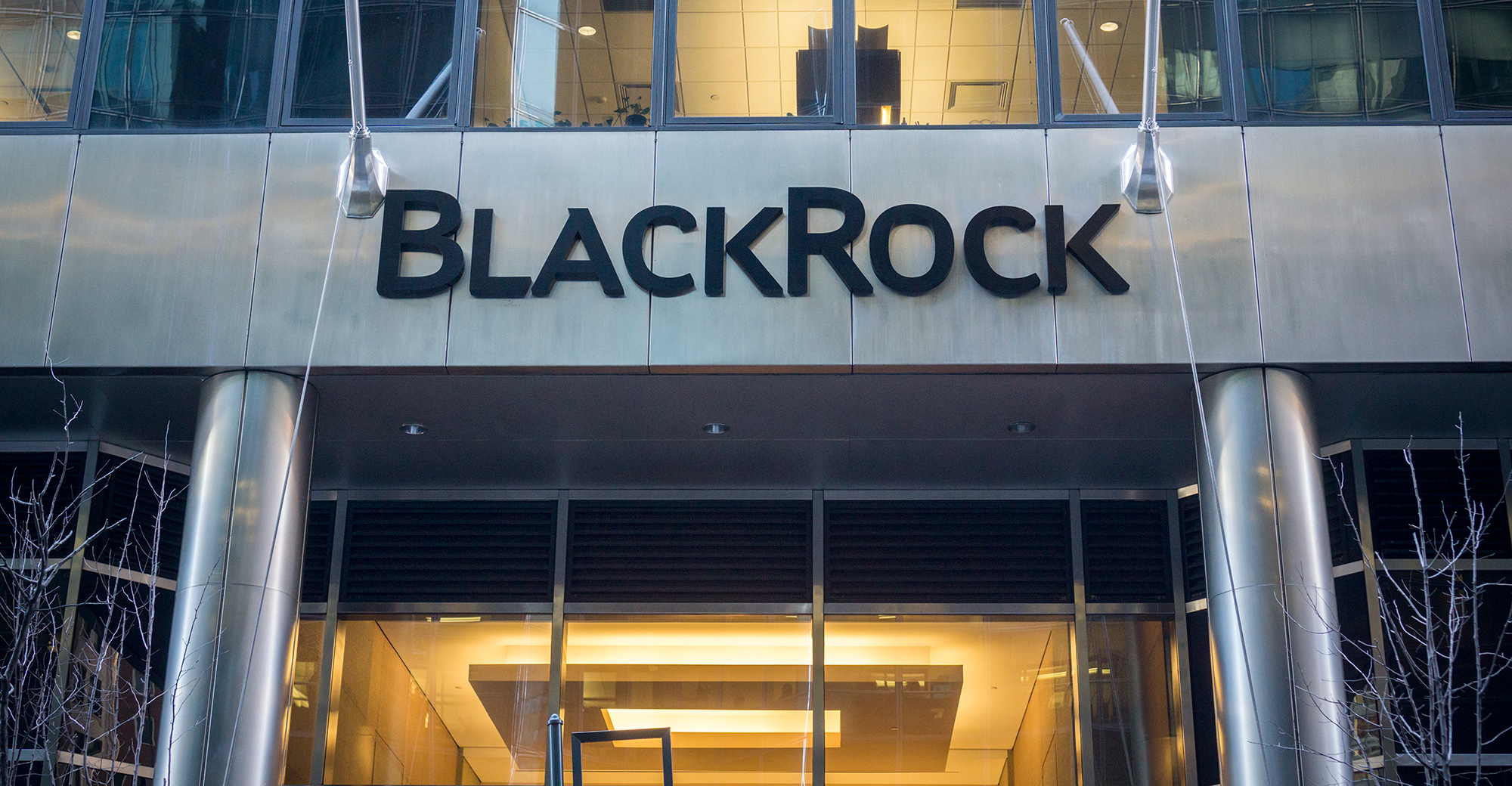 BlackRock 고객은 비트코인을 최고의 암호화폐로 압도적으로 선호합니다.