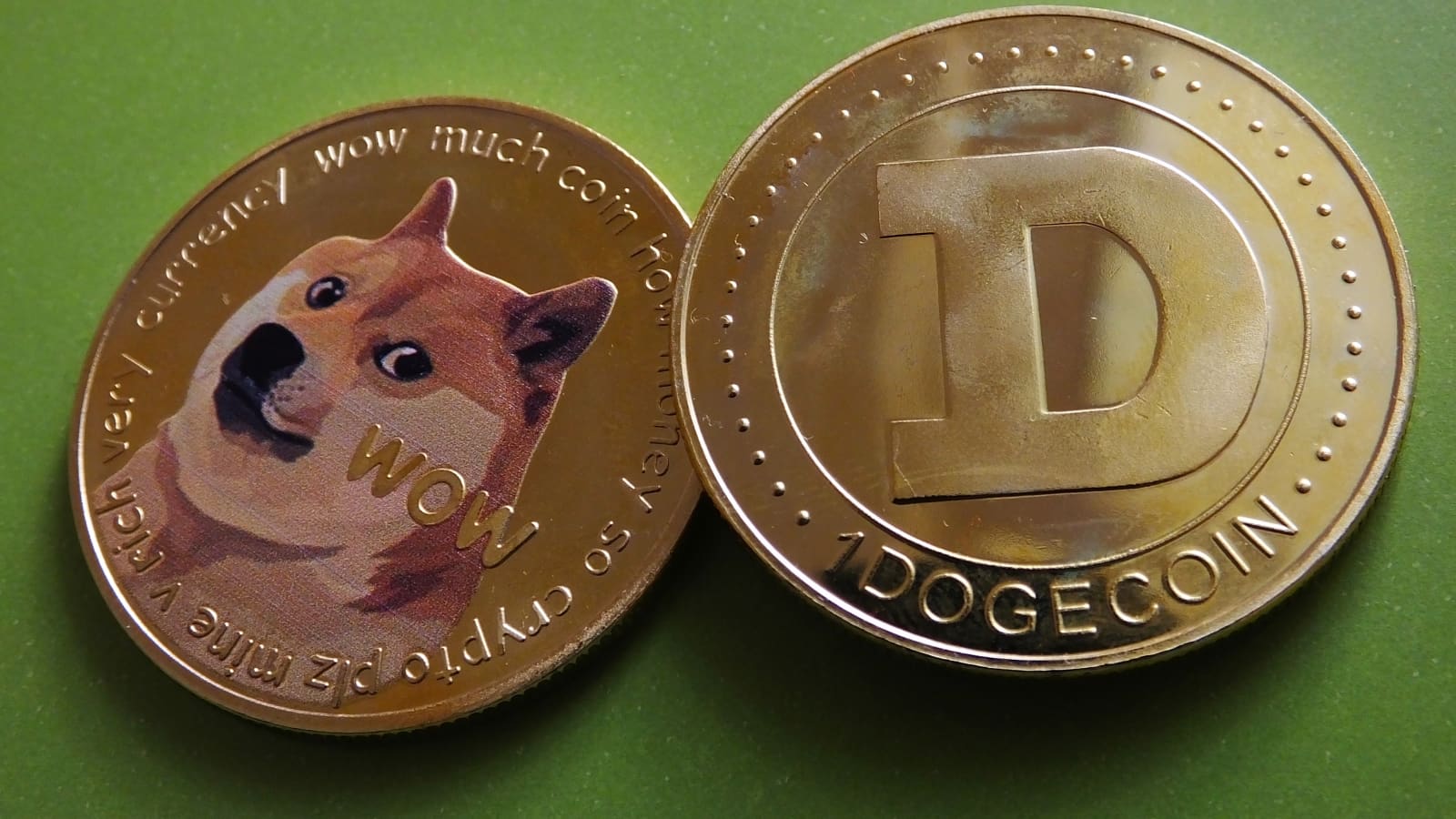 Dogecoin Roars Back Amid Market Turbulence, Fueled by Big-Time Investors