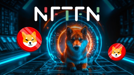 Is NFTFN the Next Shiba Inu? Crypto Community Buzzes About Presale Token