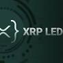 XRPL Canary Network: A Safe Haven for Innovation