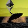 Ethereum's Fate: ETFs, SEC, Shiba Budz Shape Future Trajectory