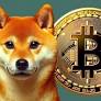 Shiba Inu Whales: Selling Off or Stocking Up?