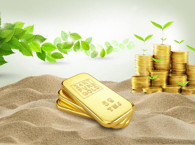 Les Baby Gold Coins sont-elles un investissement judicieux ? Pesez le pour et le contre