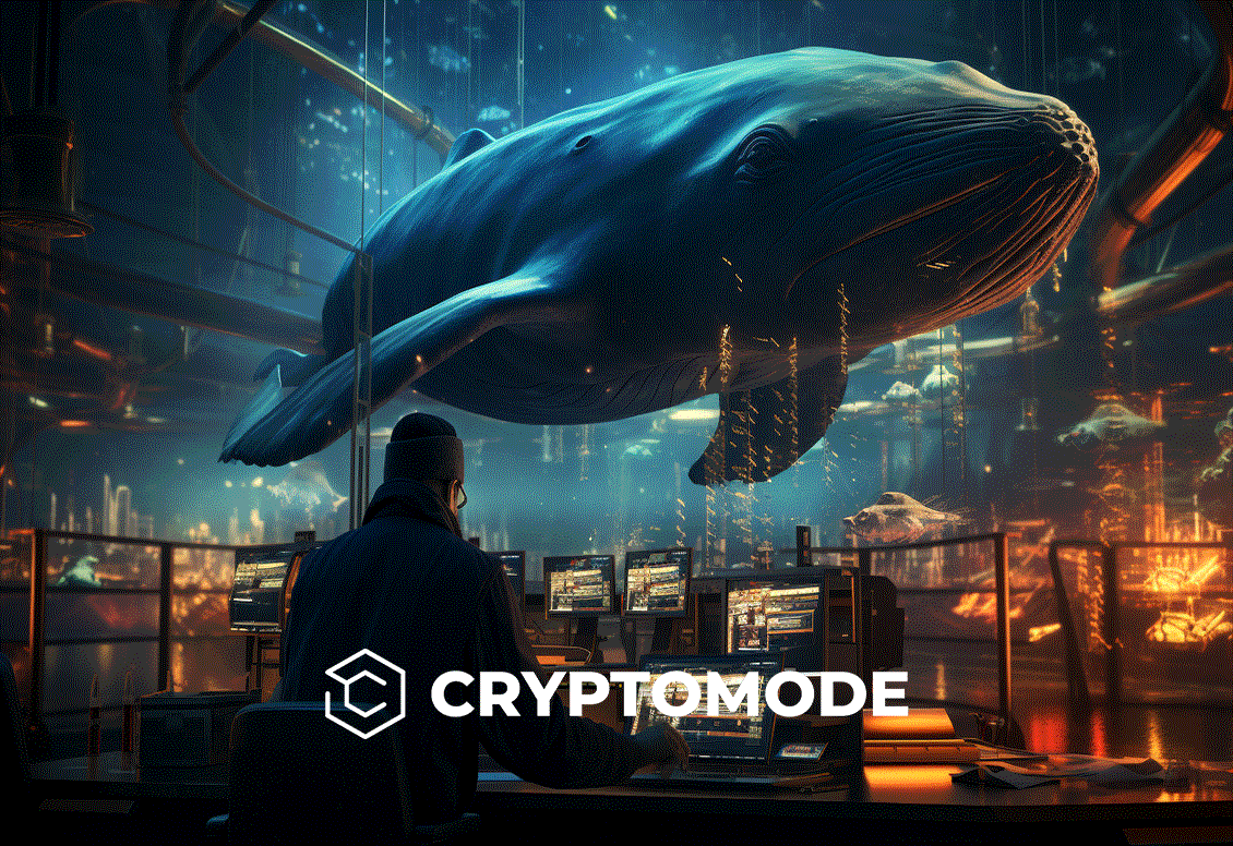 Augmentation du Bitcoin : la manie des baleines stimule le rallye crypto