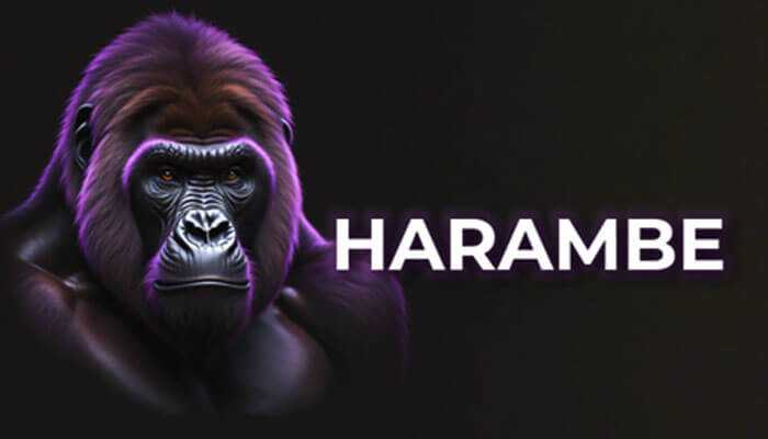 Harambe Token：加密貨幣市場的潛在金礦