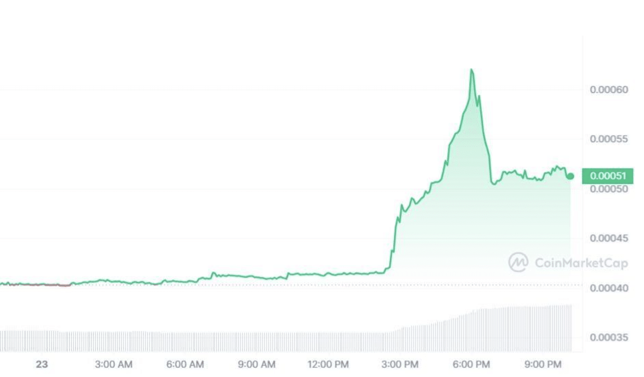 Meme Coin Frenzy: Shiba, SLERF, and BEFE Shake Up Crypto Market