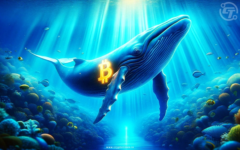 Whales Hint at Major Crypto Shift with $6B Bitcoin Move