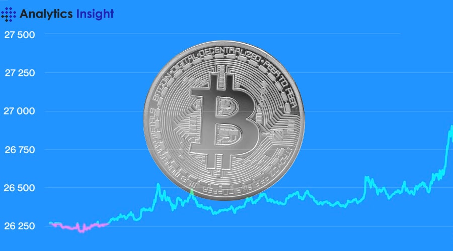 Bitcoin dominiert die Marktvolatilität