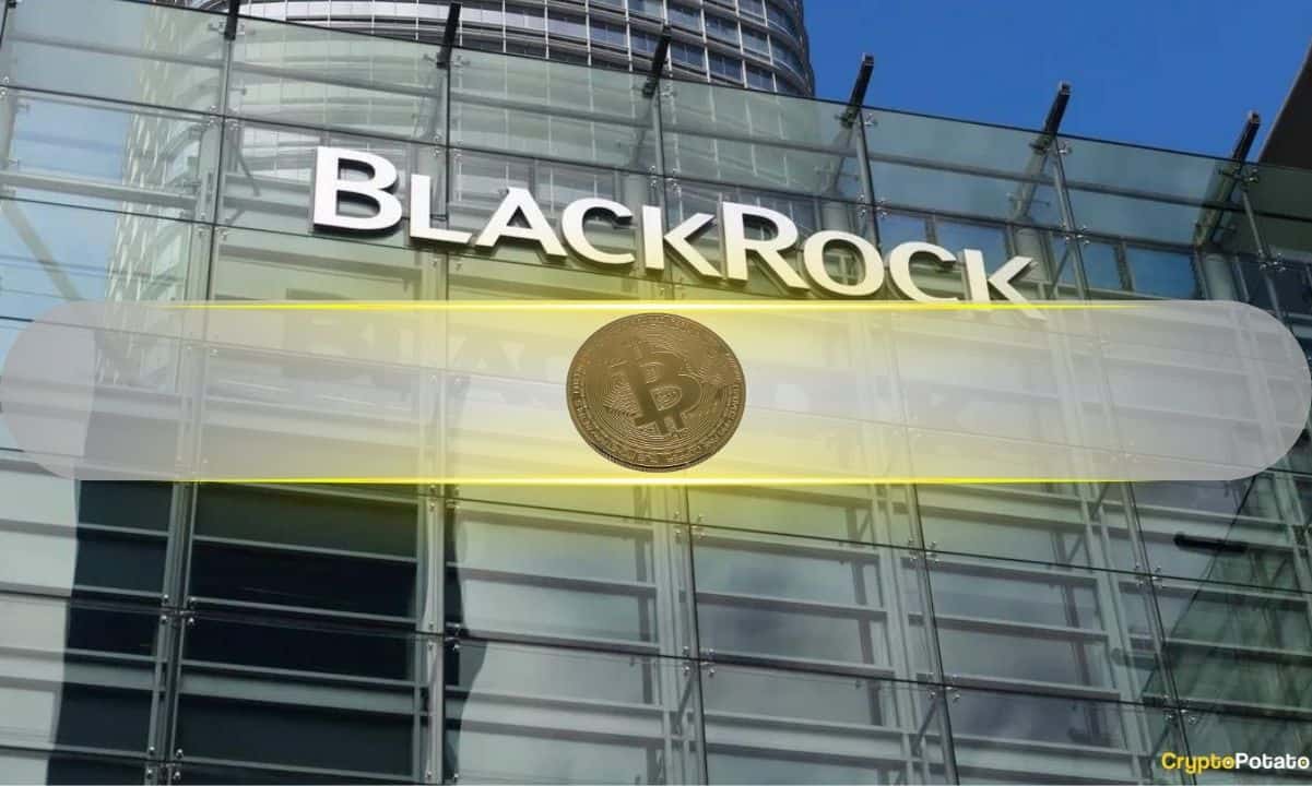 BlackRock's Bitcoin Dominance Stuns Blockchain Industry, Ethereum Future Now Uncertain