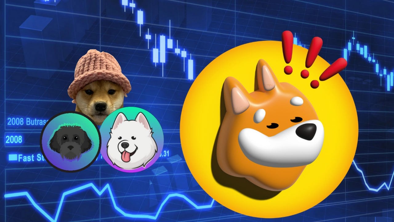 Bonk-Investoren strömen zu Shiba Budz: Die Vormachtstellung von Meme-Token verschiebt sich