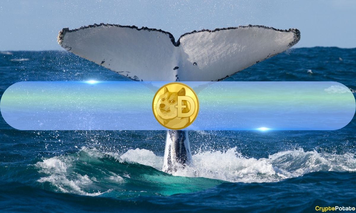 Récupération du Dogecoin : augmentation de l'activité des baleines et gain de dynamique du marché