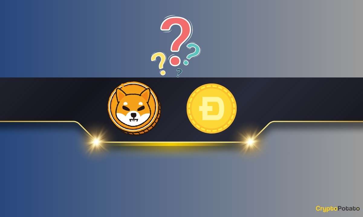 Meme Coin Mania: 경고에도 인기 급등