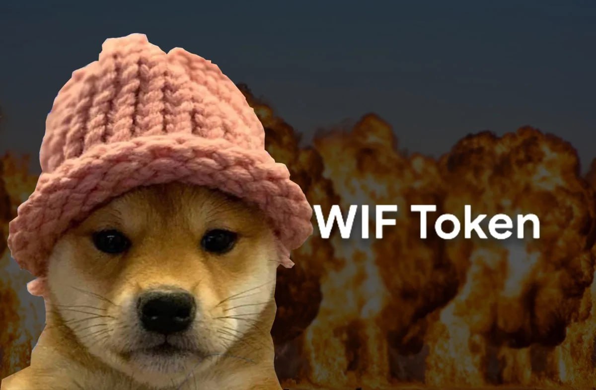 Meme Coin Showdown : Dogwifhat (WIF) contre Shiba Inu Buzz (BUDZ)