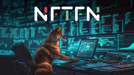 NFT 火了：跳上 NFTFN 獲得 100 倍加密收益