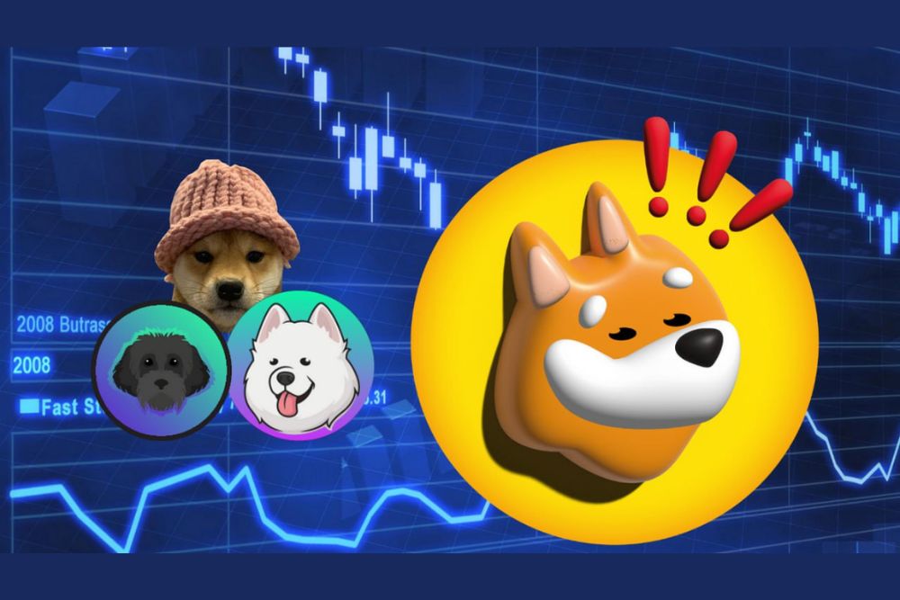 Shiba Budz：Meme 币新王，威胁 Dogwifhat 的王位