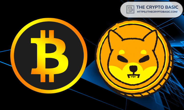 Shiba Inu (SHIB) könnte einen großen Anstieg erleben, wenn Bitcoin (BTC) das Ziel von 500.000 US-Dollar erreicht