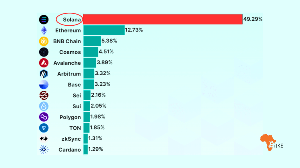 Solana Soars as 2024's Leading Blockchain Ecosystem