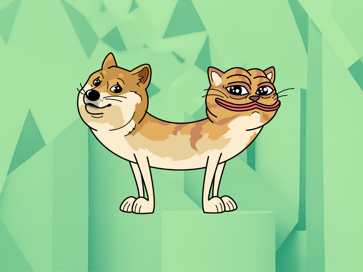 Solana-Based Meme Coin DogWifCat Shoots to $30M Market Cap in Meteoric Surge