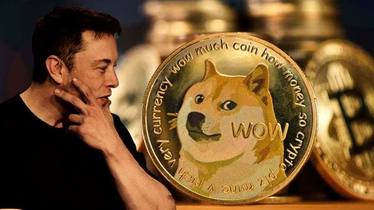 Amidst Market Volatility, Fezoo Emerges as a Contender Challenging Dogecoin and Shiba Inu