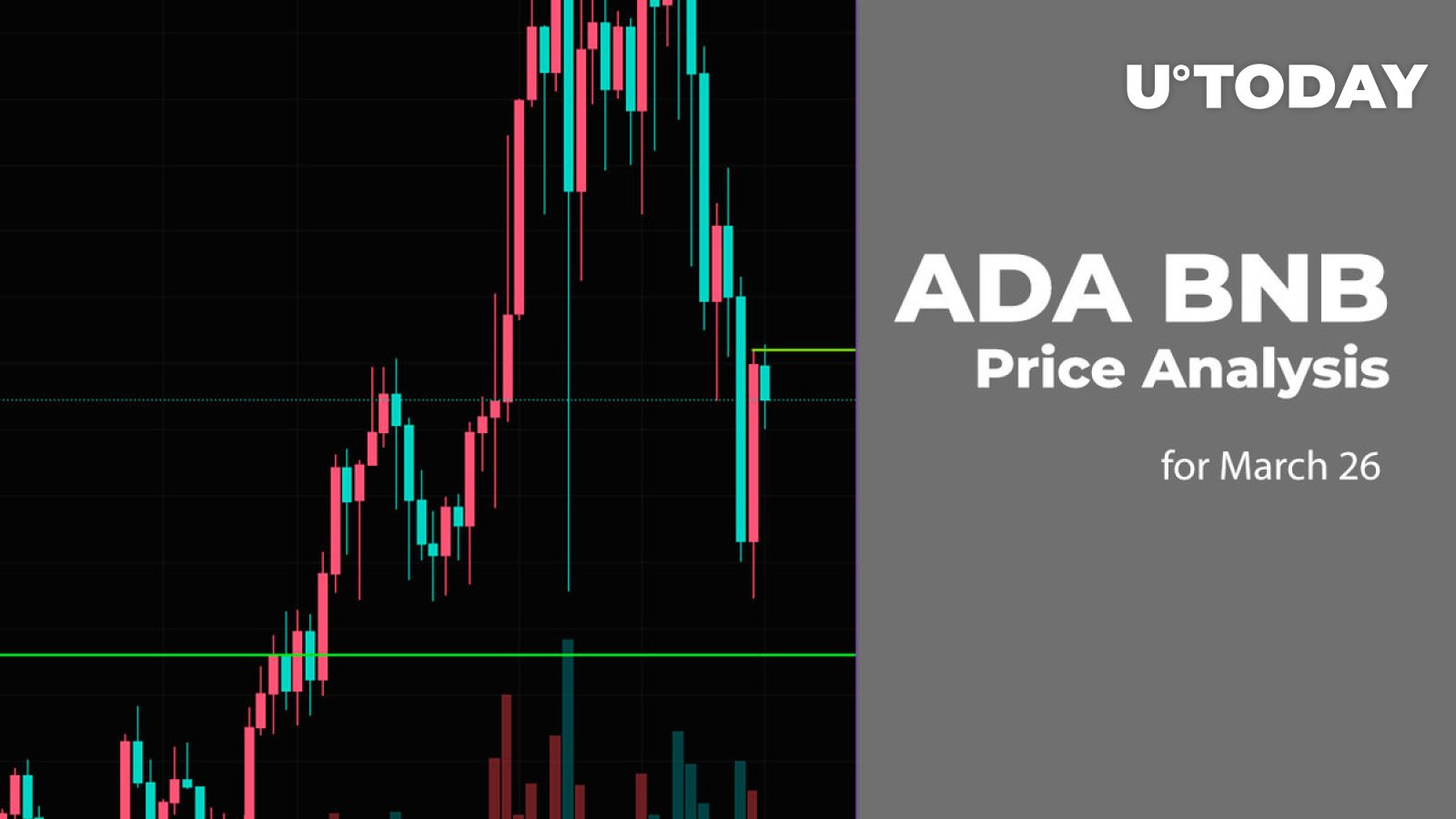 Bulls Charge Crypto Market: ADA and BNB Surging Ahead