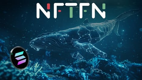 Crypto Whales Dive into NFTFN, Unleashing the Potential of Blue-Chip NFTs