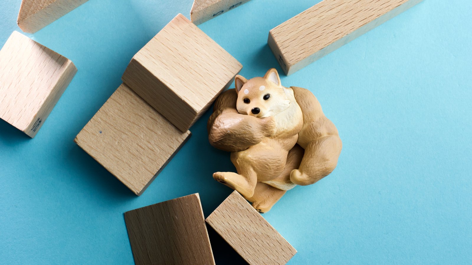 Dogecoin Price Poised to Surge Amidst Market Upswing