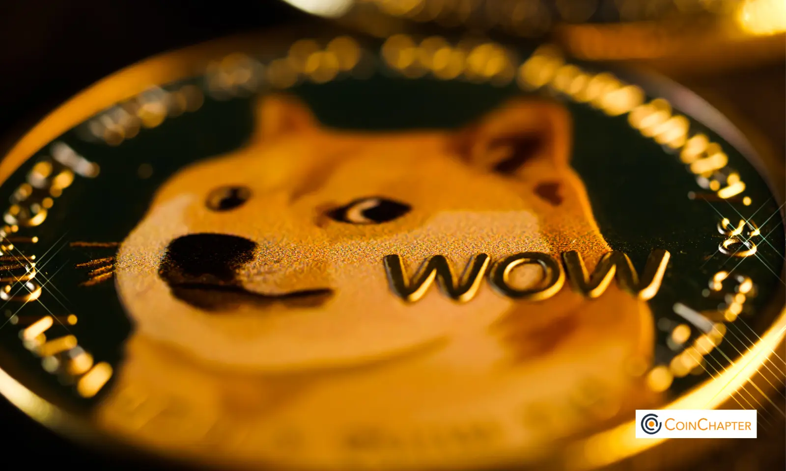 Dogecoin Soars Amid Bullish Frenzy, Eyes $0.30