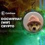 Dogwifhat Soars to Meme Coin Heights, Aspiring for Blue-Chip Status