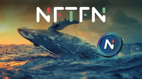 NFTFN Presale Nets Crypto Whales with Promise of Outsized Gains in Booming NFT Market