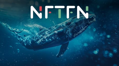 NFTFN: SuperNova と高度な金融ツールで NFT 取引に革命を起こす