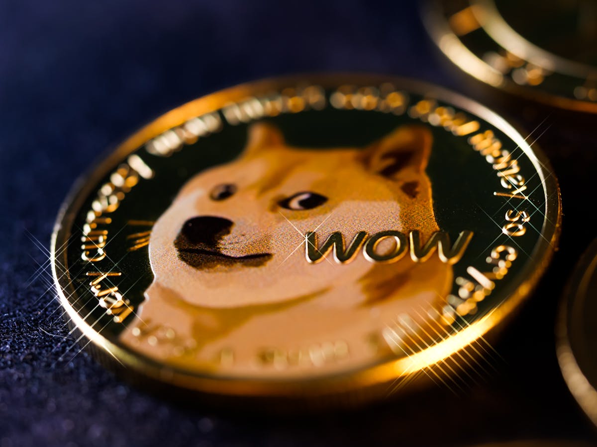 Wale und Robin Hoods rocken die Kryptosphäre: Der kometenhafte Aufstieg von Dogecoin erreicht Allzeithochs