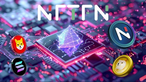 2024 年加密明星：揭示 NFTFN、Solana、Shiba Inu 和 Dogecoin 的潛力